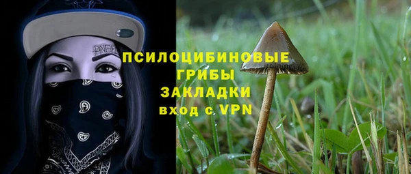 a pvp Богородицк