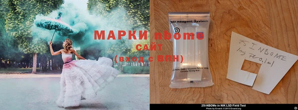 амф Богородск